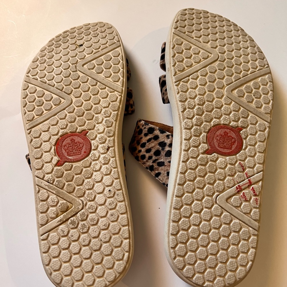 Børn Daintree Sandal Animal Printed Fabric Triple Buckle 10M - Picture 6 of 7